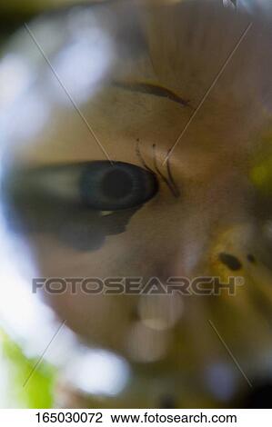 Close-up of a mannequin View Large Photo Image Stock Image - Close-up of a mannequin. Fotosearch