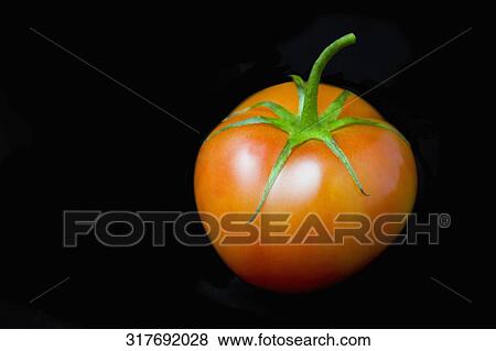 Stock Photo - Close-up of a tomato. Fotosearch