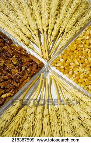 Close-up of assorted cereals View Large Photo Image Stock Photo - Close-up of assorted cereals. Fotosearch