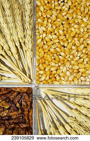 Stock Photo - Close-up of assorted cereals. Fotosearch
