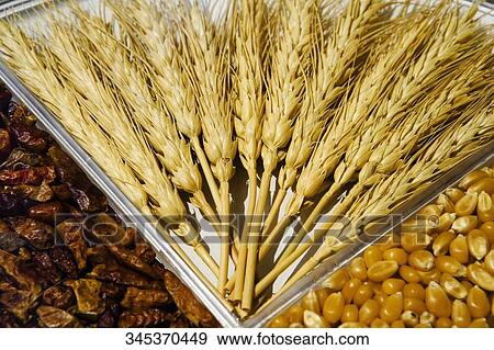 Close-up of assorted cereals View Large Photo Image Stock Photo - Close-up of assorted cereals. Fotosearch