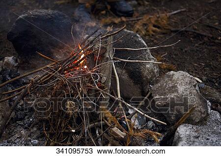 Stock Image - Close-up of campfire in a forest. Fotosearch