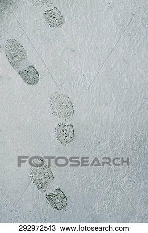 Close-up of footprints on cement View Large Photo Image Stock Image - Close-up of footprints on cement. Fotosearch