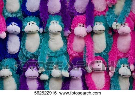 Close-up of monkey plush toys at a market stall, Santa Monica, Los Angeles County, California, USA View Large Photo Image Stock Photograph - Close-up of monkey plush toys at a market stall, Santa Monica, Los Angeles County, California, USA. Fotosearch