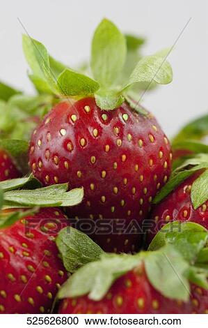 Close-up of strawberries View Large Photo Image Stock Image - Close-up of strawberries. Fotosearch
