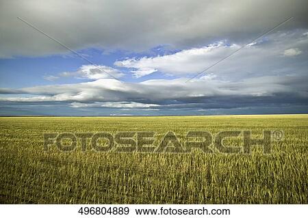 Clouds over a cultivated field View Large Photo Image Stock Photo - Clouds over a cultivated field. Fotosearch