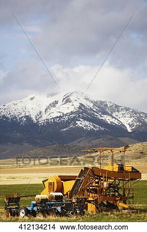 Combine harvesting in a field, Virginia City, Madison County, Montana, USA View Large Photo Image Picture - Combine harvesting in a field, Virginia City, Madison County, Montana, USA. Fotosearch