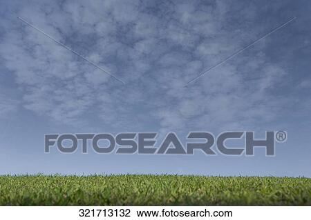 Cultivated field under cloudy sky View Large Photo Image Stock Image - Cultivated field under cloudy sky. Fotosearch