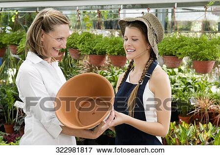 Customer buying a pot in a greenhouse View Large Photo Image Stock Photo - Customer buying a pot in a greenhouse. Fotosearch