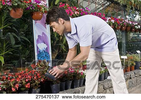 Customer buying potted plants in a greenhouse View Large Photo Image Stock Photo - Customer buying potted plants in a greenhouse. Fotosearch