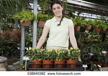 Customer buying potted plants View Large Photo Image Stock Image - Customer buying potted plants. Fotosearch