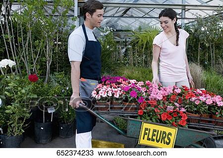 Customer buying potted plants View Large Photo Image Stock Image - Customer buying potted plants. Fotosearch