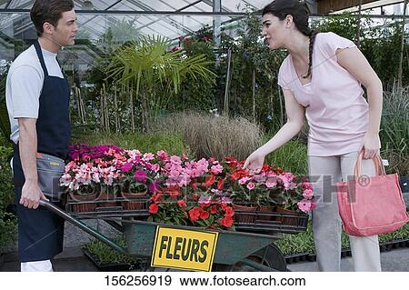 Customer buying potted plants View Large Photo Image Stock Photo - Customer buying potted plants. Fotosearch