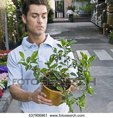 Customer holding a potted plant View Large Photo Image Stock Image - Customer holding a potted plant. Fotosearch