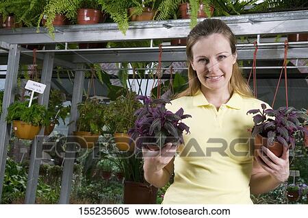 Customer holding potted plants View Large Photo Image Stock Photography - Customer holding potted plants. Fotosearch