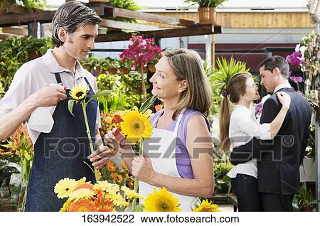 Female and a male florist working in a greenhouse View Large Photo Image Stock Image - Female and a male florist working in a greenhouse. Fotosearch