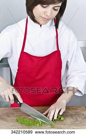 Female chef chopping cilantro leaves with a knife View Large Photo Image Stock Photo - Female chef chopping cilantro leaves with a knife. Fotosearch