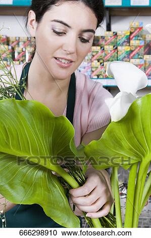 Stock Image - Female florist arranging flowers in a flower shop. Fotosearch