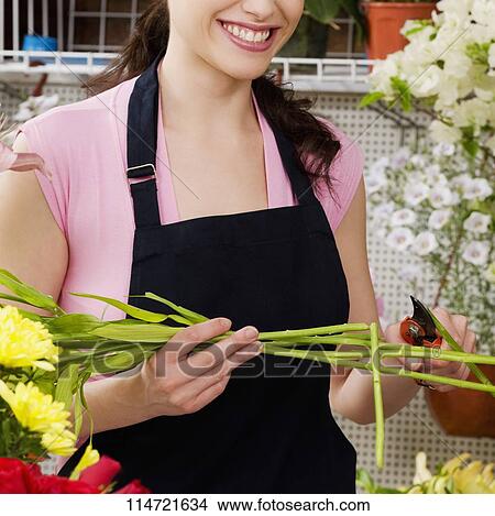Female florist cutting flower stem with pruning shears View Large Photo Image Picture - Female florist cutting flower stem with pruning shears. Fotosearch