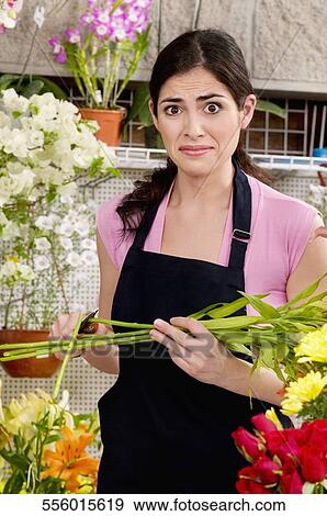 Female florist cutting flower's stem in flower shop View Large Photo Image Stock Photo - Female florist cutting flower's stem in flower shop. Fotosearch