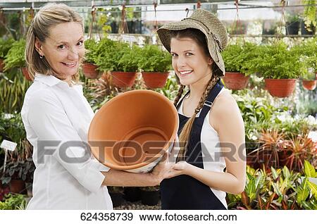 Female planter giving pot to customer in a greenhouse View Large Photo Image Stock Photo - Female planter giving pot to customer in a greenhouse. Fotosearch