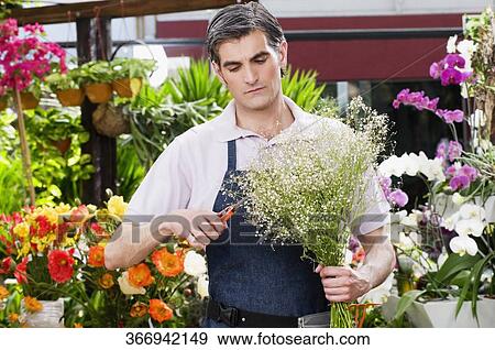 Florist making a bouquet of flowers View Large Photo Image Stock Photo - Florist making a bouquet of flowers. Fotosearch