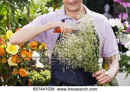 Florist pruning flowers View Large Photo Image Stock Photography - Florist pruning flowers. Fotosearch