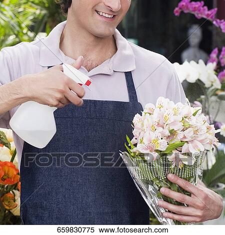 Florist spraying water on a bouquet of flowers View Large Photo Image Stock Photography - Florist spraying water on a bouquet of flowers. Fotosearch