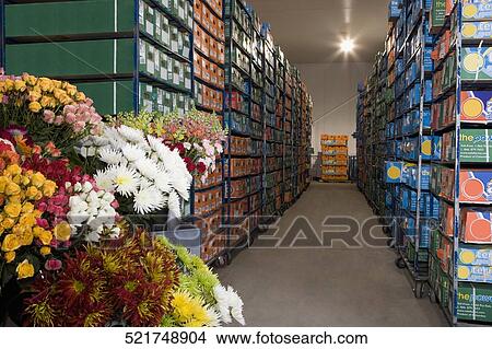 Picture - Flower boxes in a warehouse, Miami, Florida, USA. Fotosearch