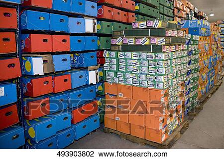 Flower boxes in a warehouse, Miami, Florida, USA View Large Photo Image Stock Image - Flower boxes in a warehouse, Miami, Florida, USA. Fotosearch