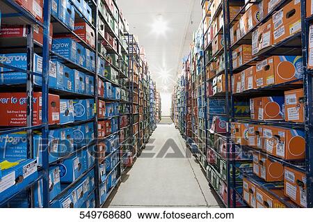 Flower boxes in a warehouse, Miami, Florida, USA View Large Photo Image Stock Image - Flower boxes in a warehouse, Miami, Florida, USA. Fotosearch