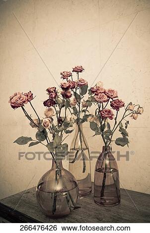 Flower pots on a table in a living room View Large Photo Image Stock Photograph - Flower pots on a table in a living room. Fotosearch