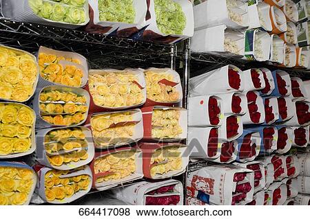 Flowers at a market stall, 28 Street, New York City, New York State, USA View Large Photo Image Stock Photo - Flowers at a market stall, 28 Street, New York City, New York State, USA. Fotosearch