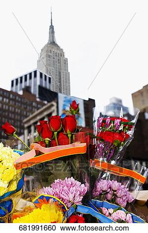 Flowers at a market stall with a skyscraper in the background, Empire State Building, Manhattan, New York City, New York State, USA View Large Photo Image Stock Image - Flowers at a market stall with a skyscraper in the background, Empire State Building, Manhattan, New York City, New York State, USA. Fotosearch