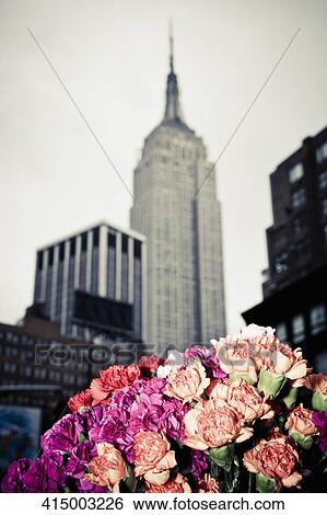 Flowers at a market stall with a skyscraper in the background, Empire State Building, 28 Street, Manhattan, New York City, New York State, USA View Large Photo Image Stock Photograph - Flowers at a market stall with a skyscraper in the background, Empire State Building, 28 Street, Manhattan, New York City, New York State, USA. Fotosearch