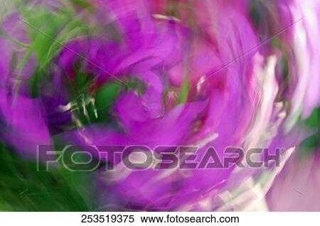 Stock Photography - Flowers in a greenhouse. Fotosearch