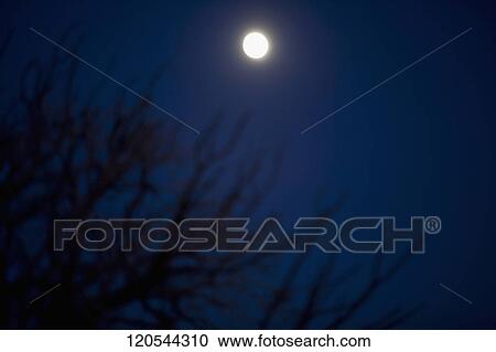 Full moon in the sky, Grand Canyon National Park, Arizona, USA View Large Photo Image Stock Image - Full moon in the sky, Grand Canyon National Park, Arizona, USA. Fotosearch