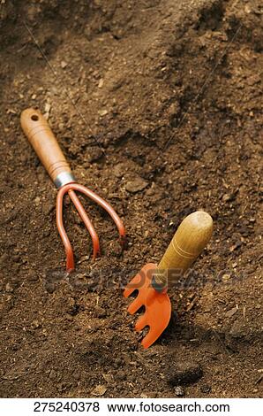 Stock Photo - Gardening fork and rake in compost. Fotosearch
