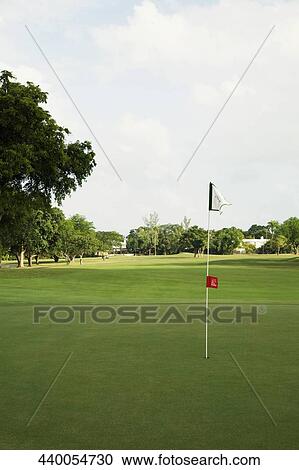 Golf flag in a golf course, Biltmore Golf Course, Coral Gables, Florida, USA View Large Photo Image Stock Image - Golf flag in a golf course, Biltmore Golf Course, Coral Gables, Florida, USA. Fotosearch