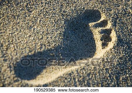 High angle view of a footprint on the beach View Large Photo Image Stock Photography - High angle view of a footprint on the beach. Fotosearch