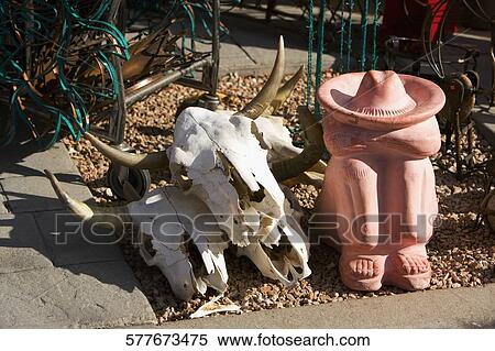 Stock Photography - High angle view of animal skulls, Scottsdale, Phoenix, Maricopa County, Arizona, USA. Fotosearch