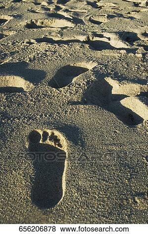 High angle view of footprints on the beach View Large Photo Image Stock Photo - High angle view of footprints on the beach. Fotosearch