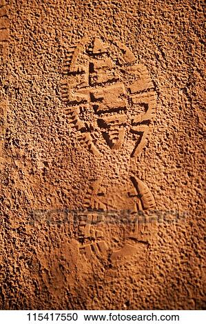High angle view of shoe print in mud, Sedona, Arizona, USA View Large Photo Image Stock Image - High angle view of shoe print in mud, Sedona, Arizona, USA. Fotosearch