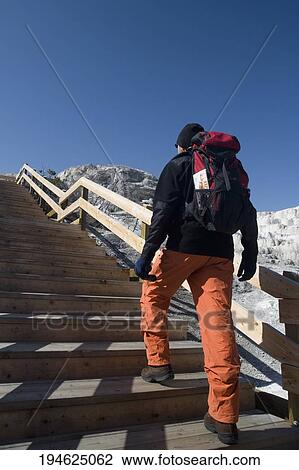 Hiker moving upstairs, Mammoth Hot Springs, Yellowstone National Park, Wyoming, USA View Large Photo Image Stock Image - Hiker moving upstairs, Mammoth Hot Springs, Yellowstone National Park, Wyoming, USA. Fotosearch