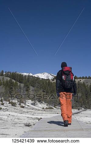 Hiker walking on the road, Mammoth Hot Springs, Yellowstone National Park, Wyoming, USA View Large Photo Image Stock Photo - Hiker walking on the road, Mammoth Hot Springs, Yellowstone National Park, Wyoming, USA. Fotosearch