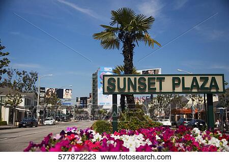 Information board at the roadside, Sunset Plaza, Sunset Boulevard, West Hollywood, Los Angeles County, California, USA View Large Photo Image Stock Image - Information board at the roadside, Sunset Plaza, Sunset Boulevard, West Hollywood, Los Angeles County, California, USA. Fotosearch