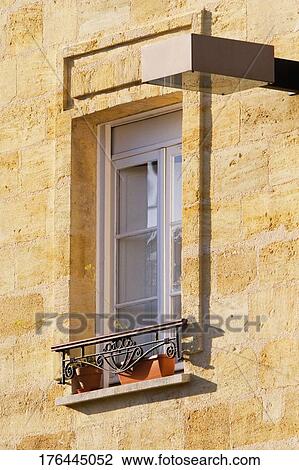 Low angle view of a potted plant on a window ledge View Large Photo Image Stock Image - Low angle view of a potted plant on a window ledge. Fotosearch