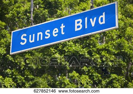 Low angle view of a street name sign, Sunset Boulevard, Los Angeles County, California, USA View Large Photo Image Stock Photograph - Low angle view of a street name sign, Sunset Boulevard, Los Angeles County, California, USA. Fotosearch