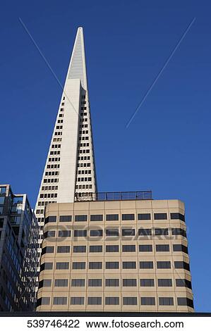 Low angle view of skyscrapers in a city, Transamerica Pyramid, San Francisco, California, USA View Large Photo Image Stock Image - Low angle view of skyscrapers in a city, Transamerica Pyramid, San Francisco, California, USA. Fotosearch