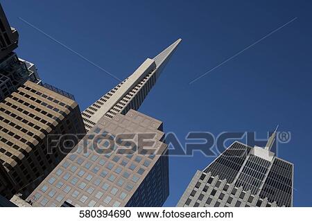 Low angle view of skyscrapers in a city, Transamerica Pyramid, San Francisco, California, USA View Large Photo Image Stock Image - Low angle view of skyscrapers in a city, Transamerica Pyramid, San Francisco, California, USA. Fotosearch